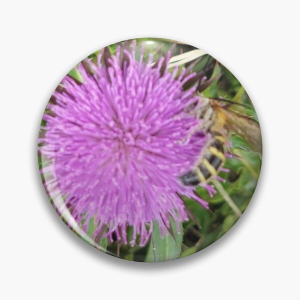 Item preview, Wildflowers on which bees sit of Donggeomeunioreum, Jeju Island, Korea. designed and sold by human8891.
