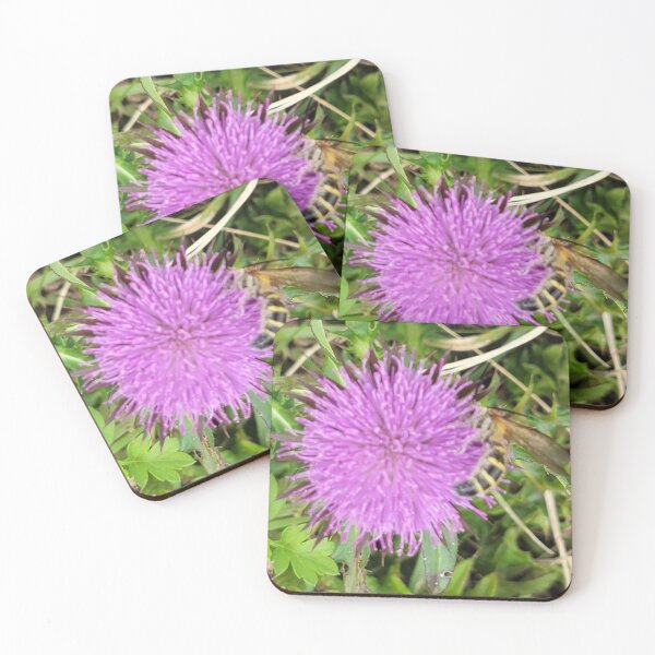 Item preview, Wildflowers on which bees sit of Donggeomeunioreum, Jeju Island, Korea. designed and sold by human8891.