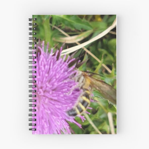 Item preview, Wildflowers on which bees sit of Donggeomeunioreum, Jeju Island, Korea. designed and sold by human8891.