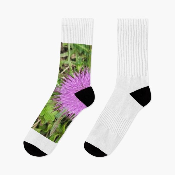 Item preview, Wildflowers on which bees sit of Donggeomeunioreum, Jeju Island, Korea. designed and sold by human8891.