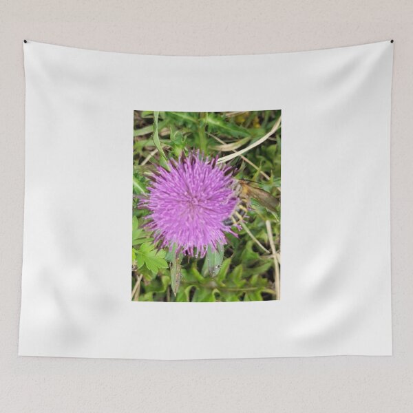 Item preview, Wildflowers on which bees sit of Donggeomeunioreum, Jeju Island, Korea. designed and sold by human8891.