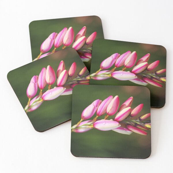 Item preview, African Corn Lily Flower designed and sold by Joy Watson - Natural Light Photography .