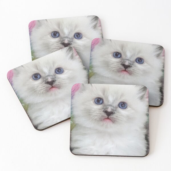 Item preview, Ragdoll kitten designed and sold by Fluffycat2020.