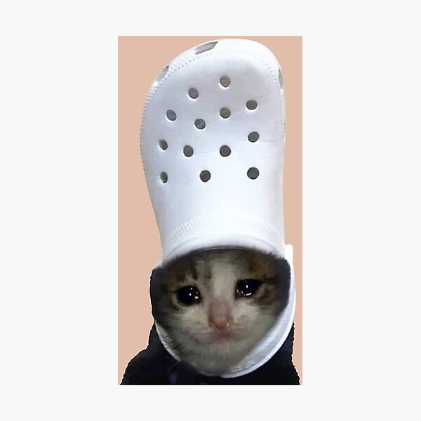 Impressions Photo Sur Le Theme Meme De Chat Triste Redbubble