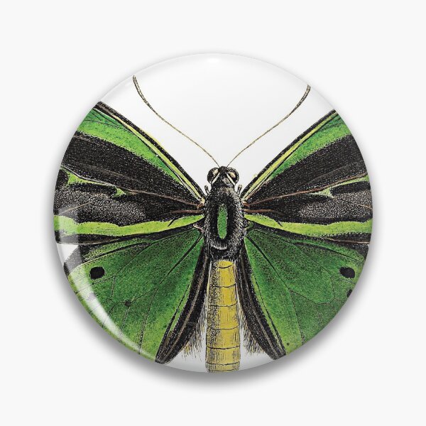 Item preview, Queen Alexandra's birdwing designed and sold by Photopicture.