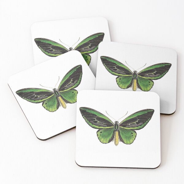 Item preview, Queen Alexandra's birdwing designed and sold by Photopicture.