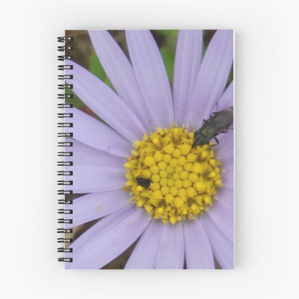 Item preview,  Winged ant playing on wildflowers of Donggeomeunioreum, Jeju Island, Korea. designed and sold by human8891.