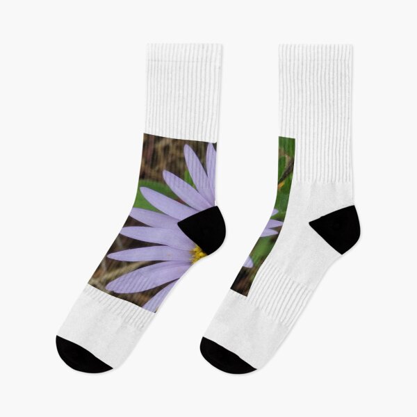 Item preview,  Winged ant playing on wildflowers of Donggeomeunioreum, Jeju Island, Korea. designed and sold by human8891.