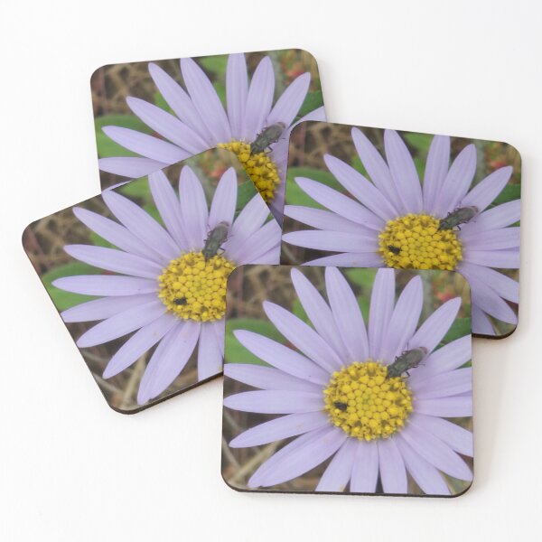 Item preview,  Winged ant playing on wildflowers of Donggeomeunioreum, Jeju Island, Korea. designed and sold by human8891.