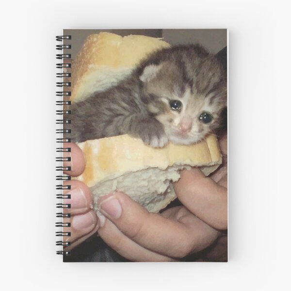 Item preview, Sad sammich designed and sold by coa6ulasol7e.