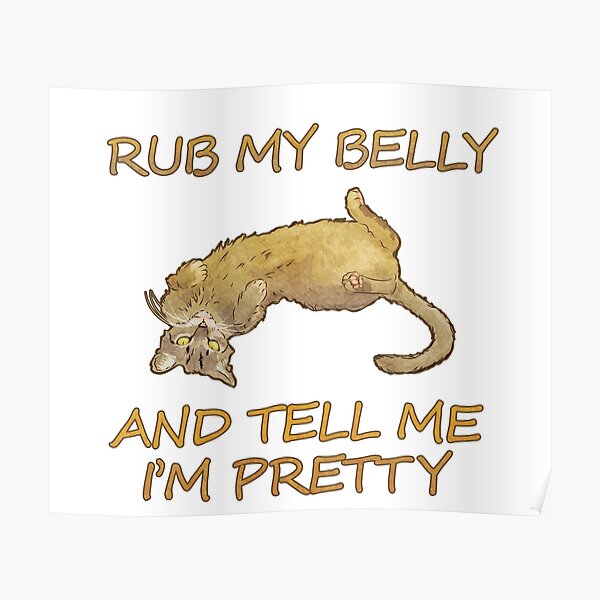 Rub My Belly And Tell Me Im Pretty Poster For Sale By Vixfx Redbubble 