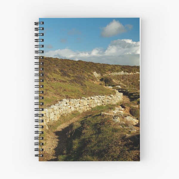 Item preview, WALL PATH  designed and sold by andrewsaxton.