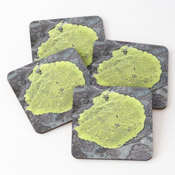 Item preview, lichen designed and sold by KathleenDawson.