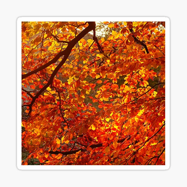 Item preview, The Magic of Autumn - Autumn leaves on the Branches designed and sold by olegarh.