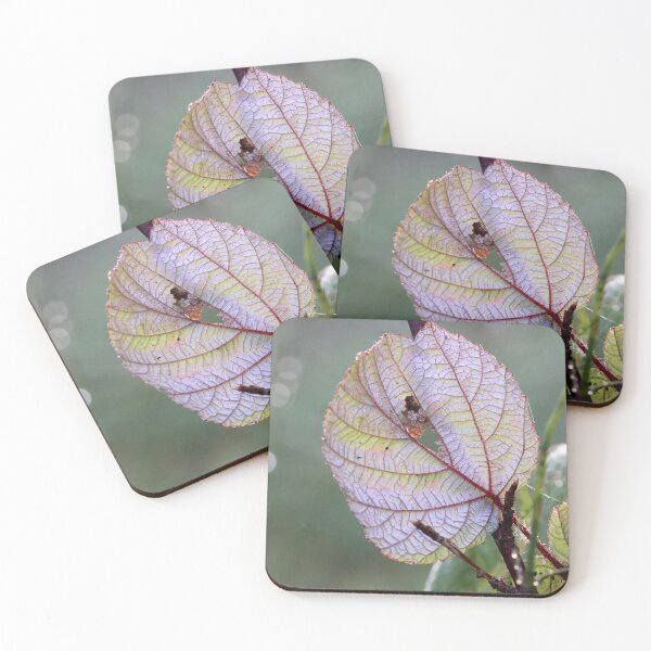 Item preview, Japanese Wineberry Leaf designed and sold by cuprum.