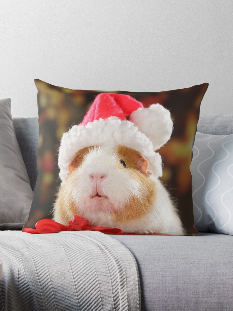 Guinea pig outlet blanket