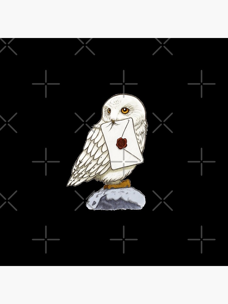 White Owl by OnlineJoe
