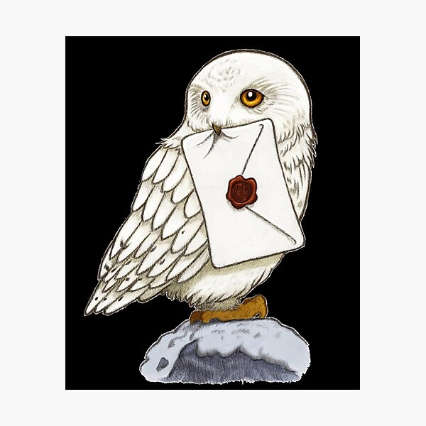 White Owl Photographic Print
