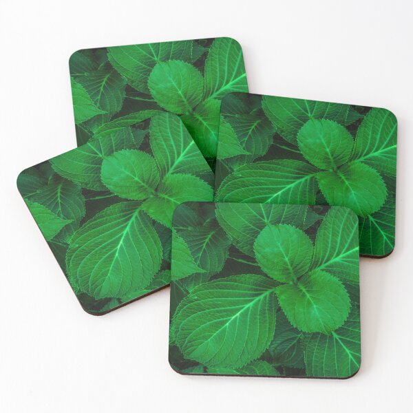 Item preview, Broad Green Leaf Plant designed and sold by Steven Jodoin.