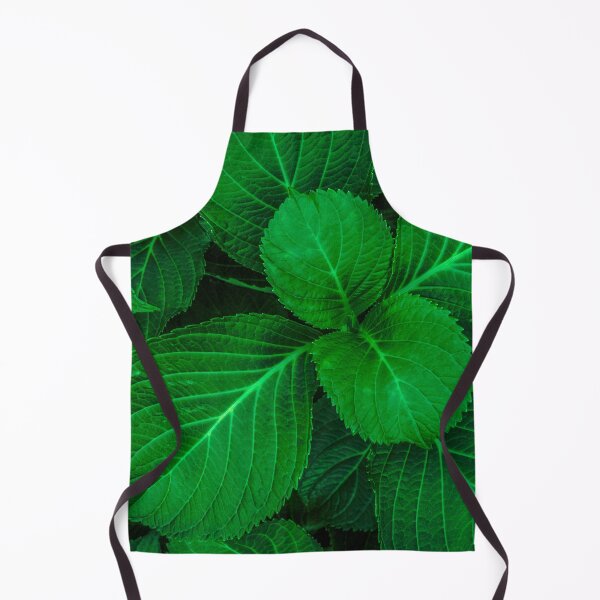 Aperçu de l'œuvre Plante à larges feuilles vertes créée et vendue par Steven Jodoin.
