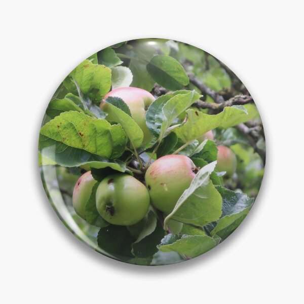 Item preview, Apples on a Tree designed and sold by michellelegrand.