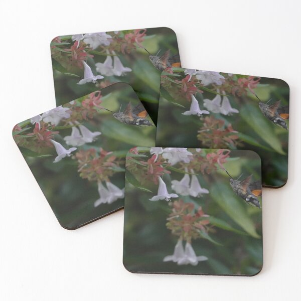 Item preview, Hummingbird hawk moth designed and sold by frogs123.