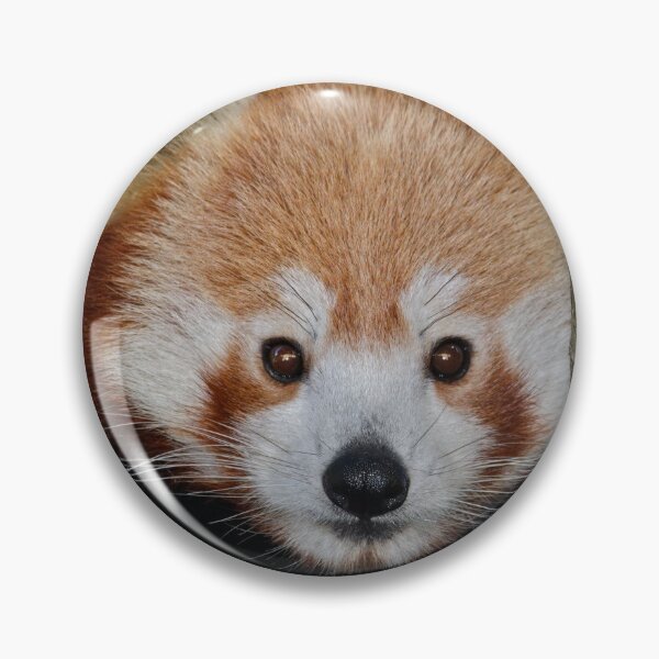 Item preview, Red Panda designed and sold by Krys Bailey.