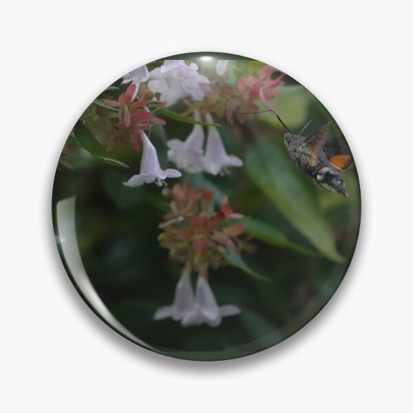Item preview, Hummingbird hawk moth designed and sold by frogs123.
