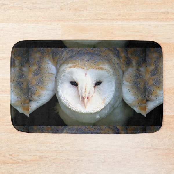 Item preview, Barn Owl - I See You designed and sold by Jo Nijenhuis.