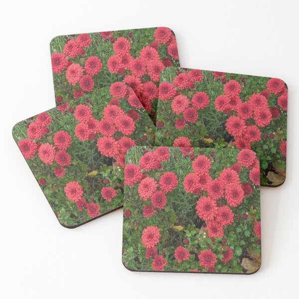 Item preview, Last Flowers of the season. designed and sold by Dubage603.