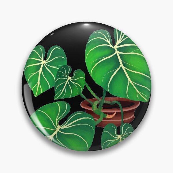 Item preview, Philodendron Gloriosum rare plant aroid designed and sold by Weolif.