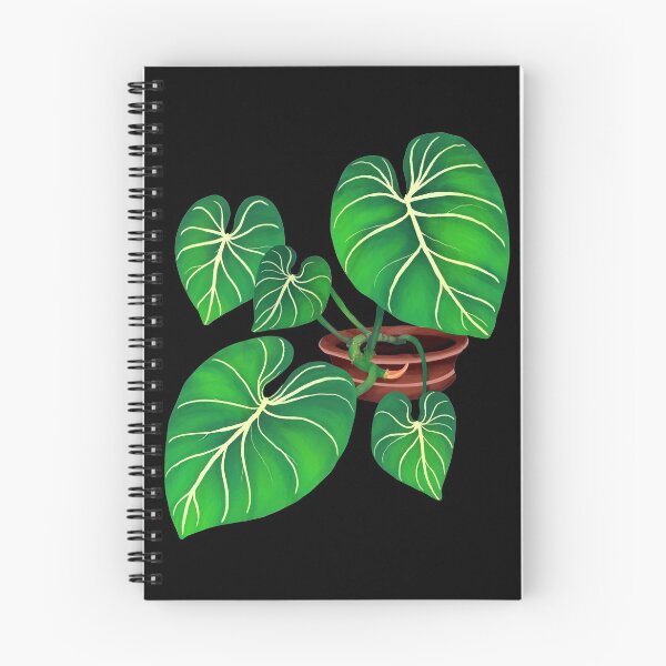 Item preview, Philodendron Gloriosum rare plant aroid designed and sold by Weolif.