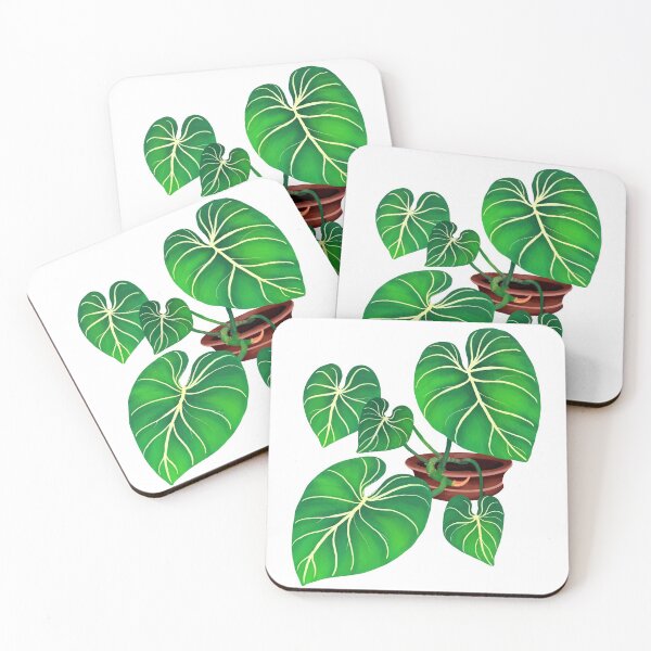Item preview, Philodendron Gloriosum rare plant aroid designed and sold by Weolif.
