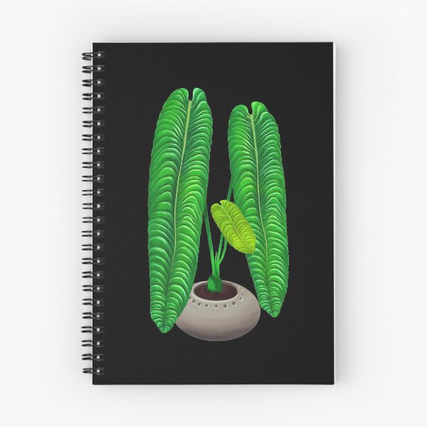 Item preview, Anthurium Veitchii rare plant designed and sold by Weolif.