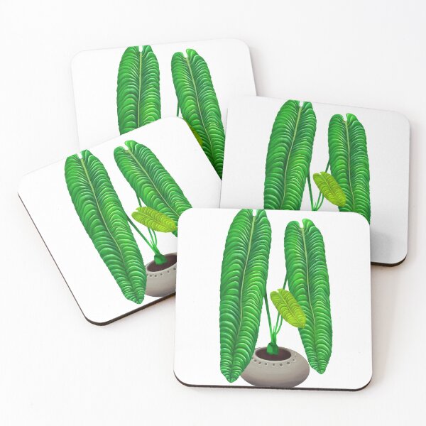 Item preview, Anthurium Veitchii rare plant designed and sold by Weolif.
