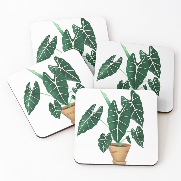 Item preview, Alocasia Frydek Green Velvet rare plant designed and sold by Weolif.