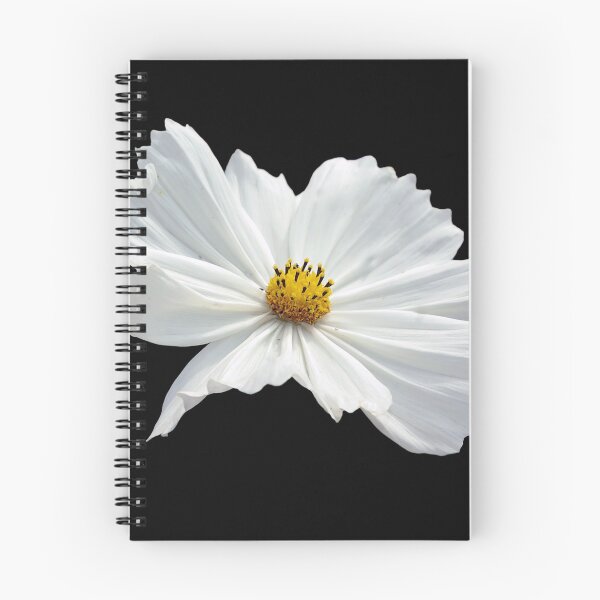 Item preview, White Cosmos on black background designed and sold by Philip Butler.