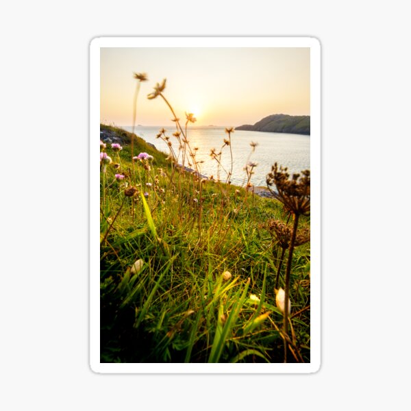 Item preview, St Davids Head designed and sold by Geoff Shoults.