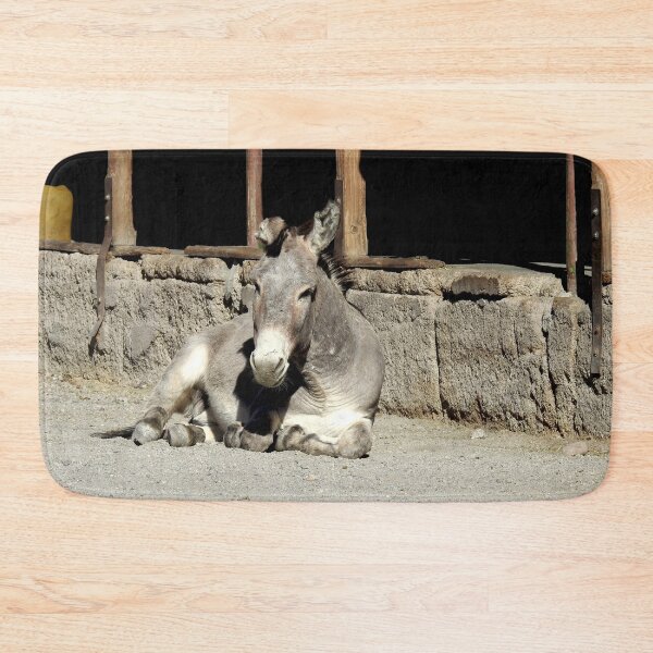 Item preview, Wild burros, donkeys, wildlife, Restless Spirit designed and sold by Sandra O'Toole.