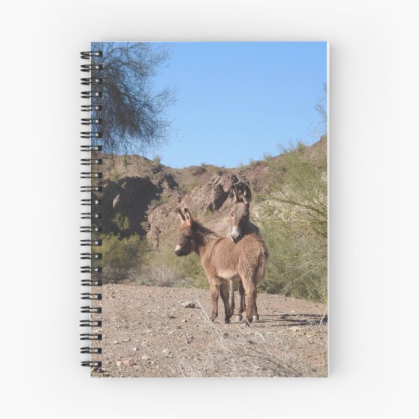 Artikelvorschau, Wilde Burros, Esel, Wildtiere, wilde Tiere entworfen und verkauft von Sandra O'Toole.