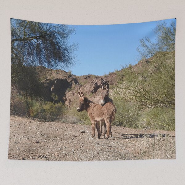 Item preview, Wild burros, donkeys, wildlife, wild animals  designed and sold by Sandra O'Toole.
