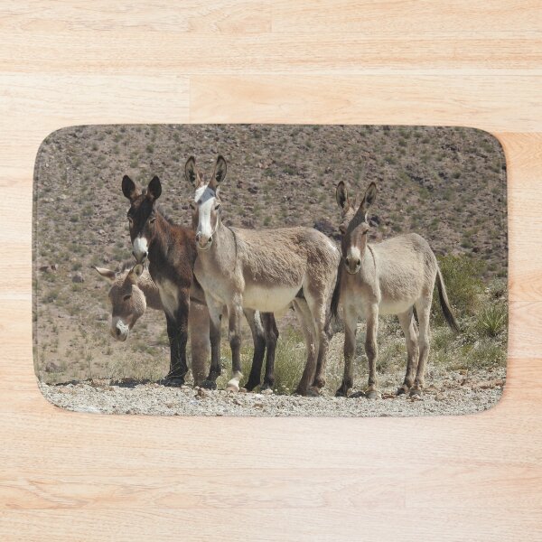 Item preview, Wild burros, donkeys, wildlife, Here We Come designed and sold by Sandra O'Toole.