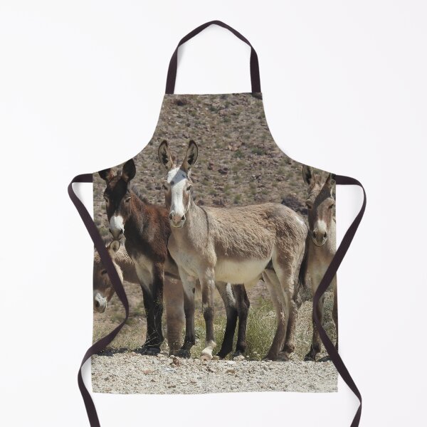 Item preview, Wild burros, donkeys, wildlife, Here We Come designed and sold by Sandra O'Toole.