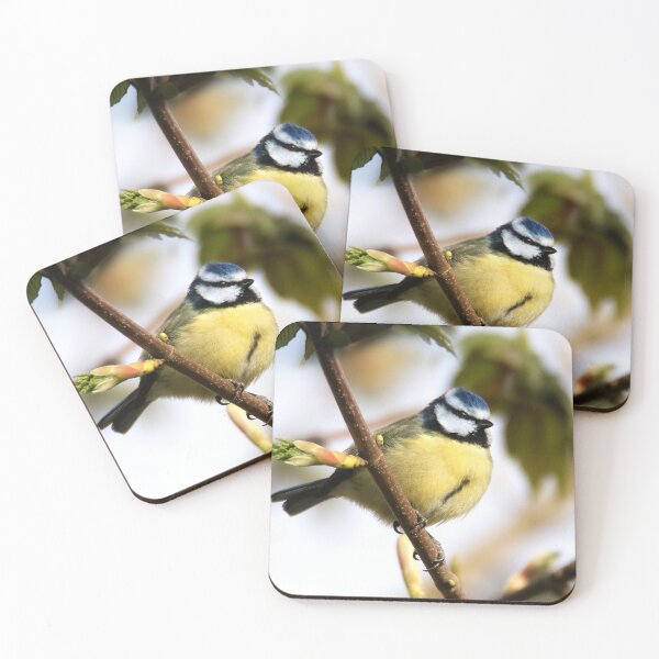Item preview, Cyanistes caeruleus in Spring designed and sold by Terri Waters Photography & Design.