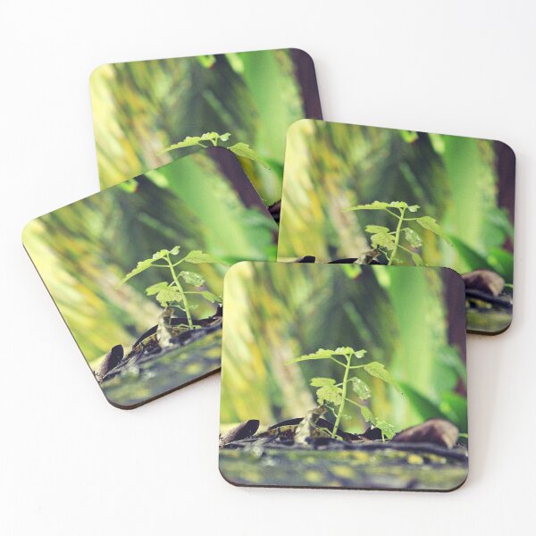 Item preview, Green shyne designed and sold by Viewtifulpapel.