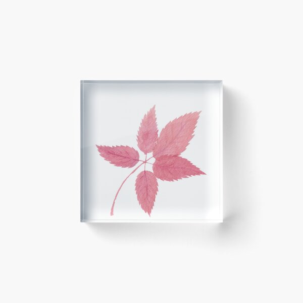 Item preview, Red fall foliage designed and sold by Sershni.