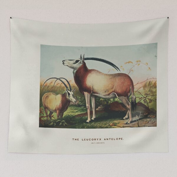 Item preview, Zoological sketches by Joseph Wolf 1861 to 1867 023 The Leucoryx Antelope designed and sold by WetdryvacRB01.