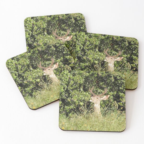 Item preview, Mule deer, buck, wildlife, Sequoia King designed and sold by Sandra O'Toole.