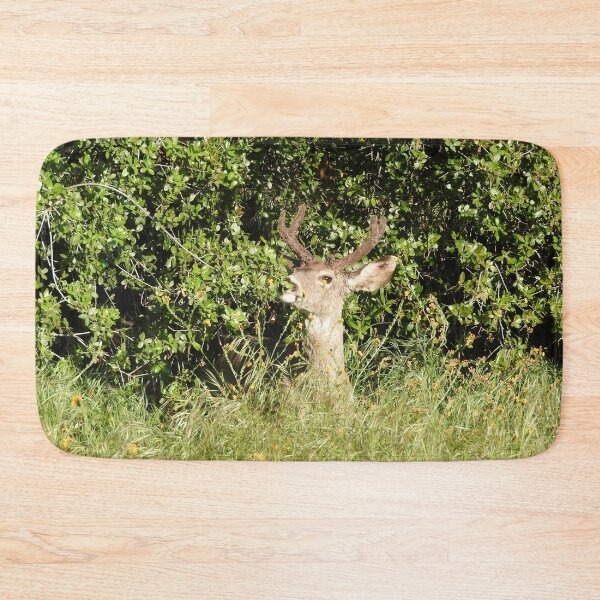 Item preview, Mule deer, buck, wildlife, Sequoia King designed and sold by Sandra O'Toole.