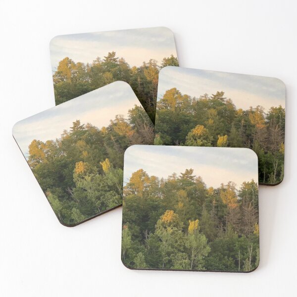 Item preview, Forest photography designed and sold by hopeisloading.